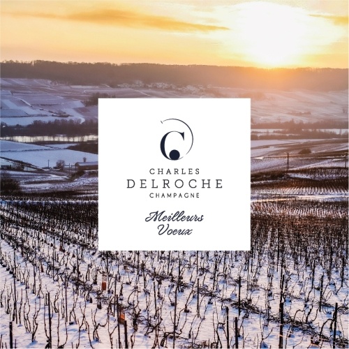 Vignes champenoises enneigées sous un soleil couchant