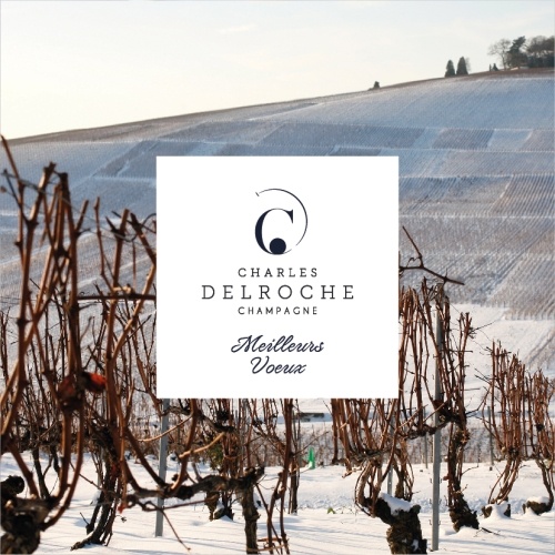 Paysage de rangs de vignes en hiver avec les allées enneigées