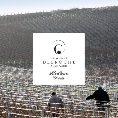 2 personnes dans les rangs de vignes en hiver avec le reflet du soleil sur les fils de fer