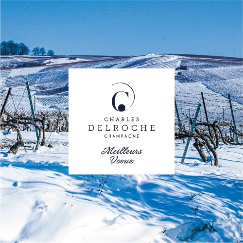 Vignoble champenois reconvert de neige sous une beau ciel bleu