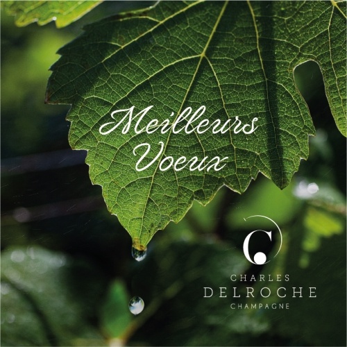 Feuille de vigne mouillée avec une goutte d'eau en train de tomber