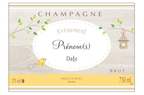 Étiquette adhésive avec deux liserés d'or à chaud avec un décor frais et naturel pour personnaliser une bouteille de Champagne