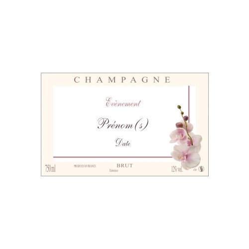 Étiquette crème et blanche de Champagne non-autocollante avec une branche d'orchidée
