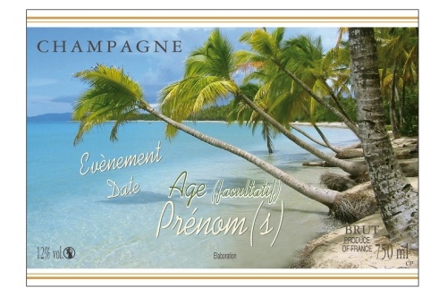 Étiquette de Champagne adhésive avec deux liserés d'or à chaud, avec un décor de tropique pour fêter les vacances