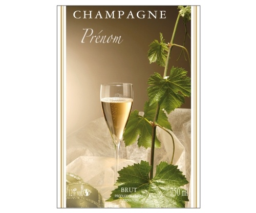 Étiquette de Champagne adhésive avec deux liserés d'or à chaud avec un décor de flûtes et de feuilles de vigne